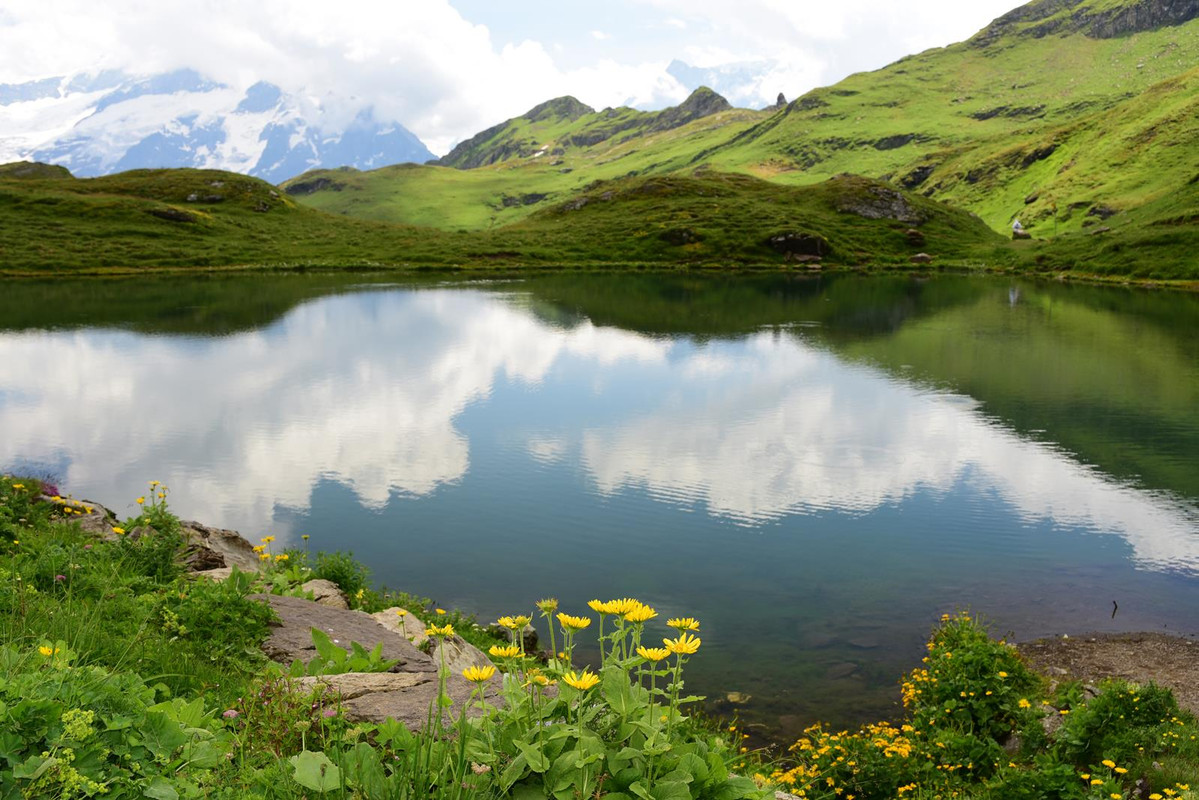 Huyendo del COVID a los Alpes (2020) - Blogs de Suiza - De casa a Grindelwald (Zona de Interlaken) (12)