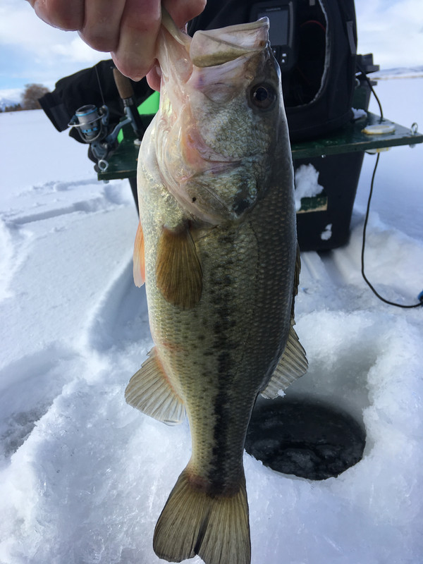 D05EA0E7-0486-4525-8F54-E7FE2B53CCDF