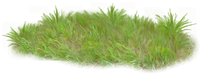 0_1c0bb5_bb2ccf47_orig