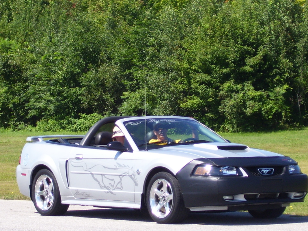 mustang - Montréal Mustang: 40 ans et + d’activités! (Photos-Vidéos,etc...) - Page 19 100-0534