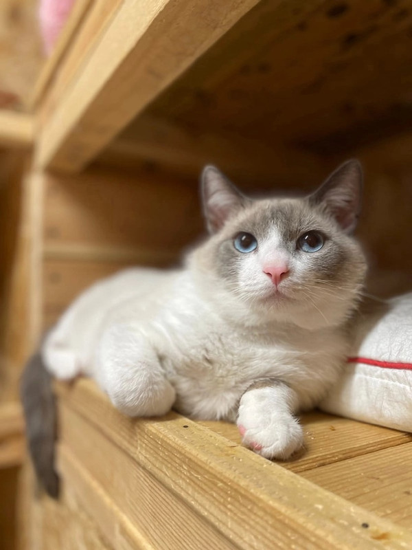 СеменПетрович2