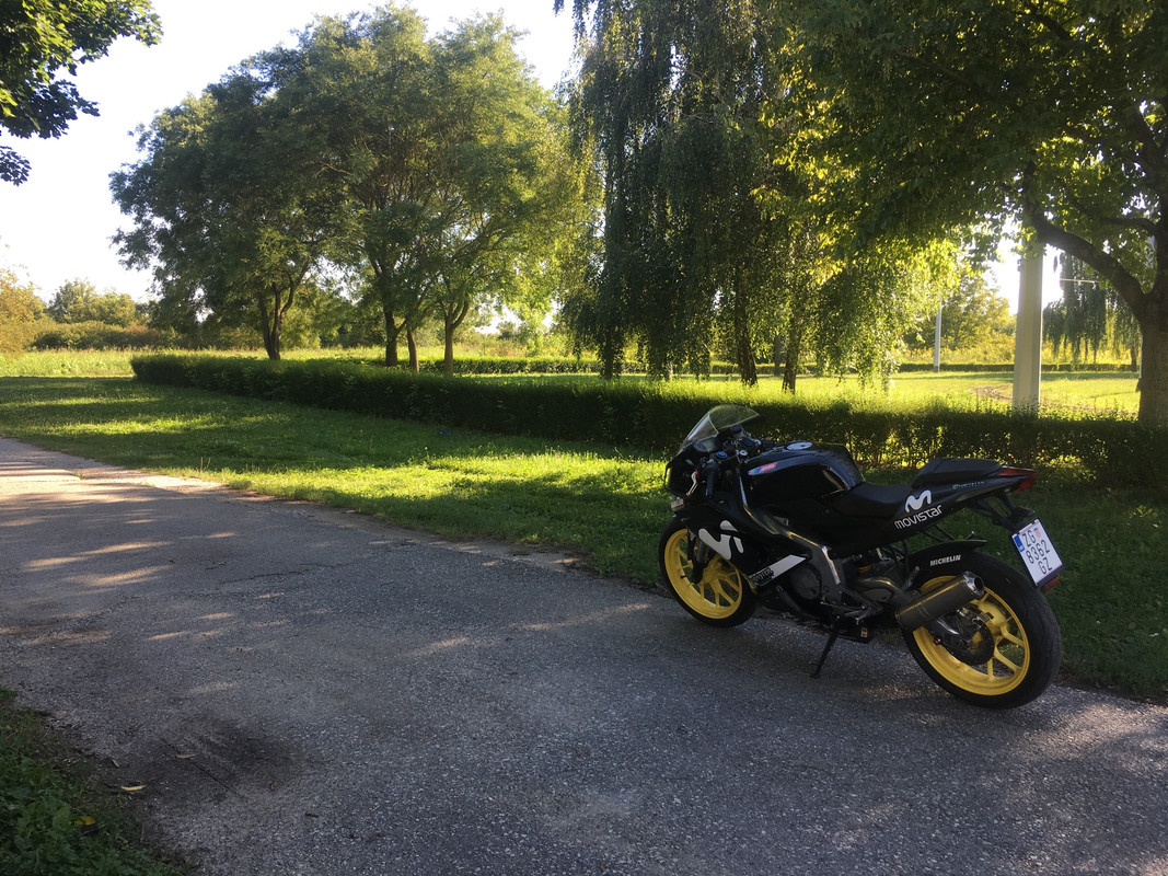 489C46E2-C847-45BB-9DB1-14B32E52A7AC