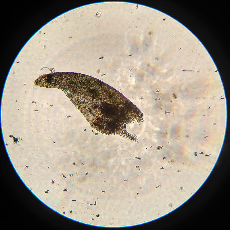 IMG 20250616 215741 HDR