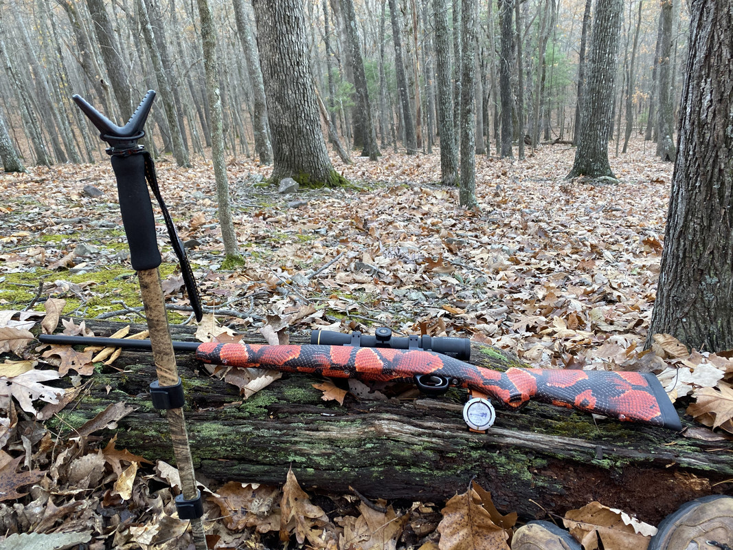 5889D741-001C-47FE-BCA7-6896AC261B38