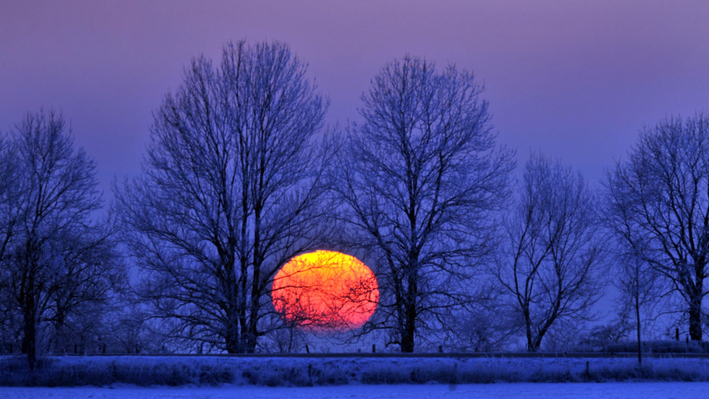 [PokeCommunity.com] Four Seasons: A Celebration of Life