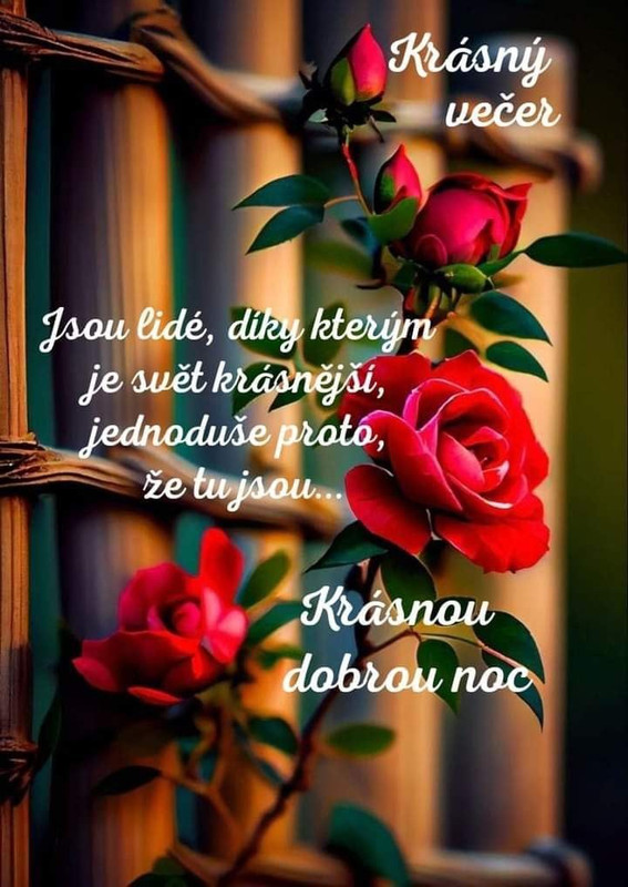 da96963a7390a20346f7191e5897861e