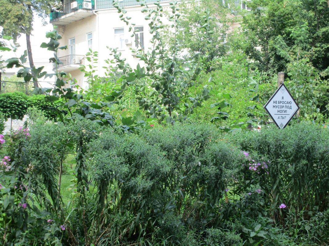 IMG-0011