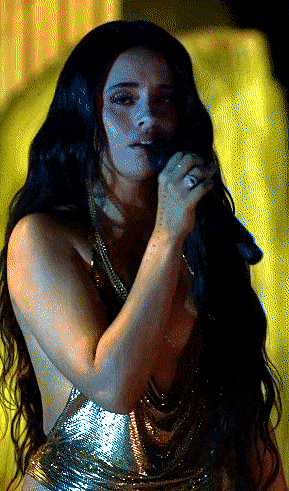 camconcertpary1.gif