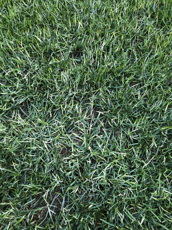 DE62470F-4ED8-4F97-A987-9C192E70DD50