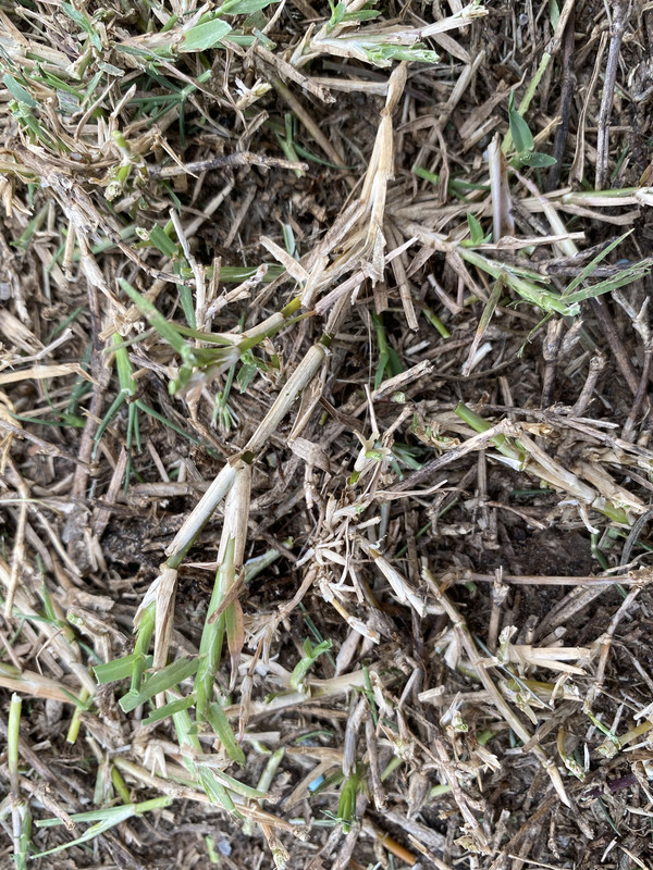 0A86BFBB-C729-49DC-964F-C7032FDCED39