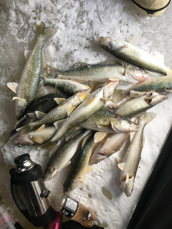 B3F11957-304D-4D02-8911-D2EF54B39647