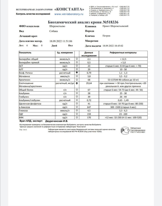 1B9A107A-949A-49F5-870D-EC6AC46F3203