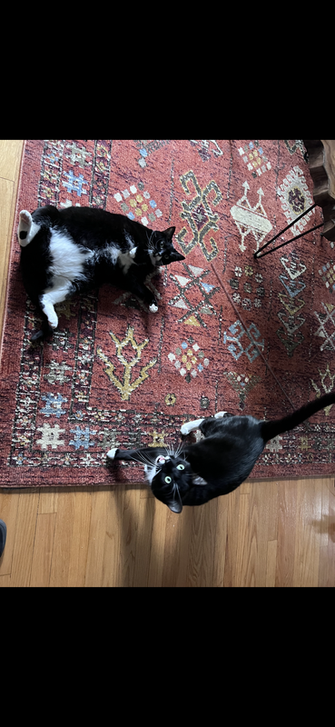 45416759-839D-4BBA-9763-C68240E68BE3