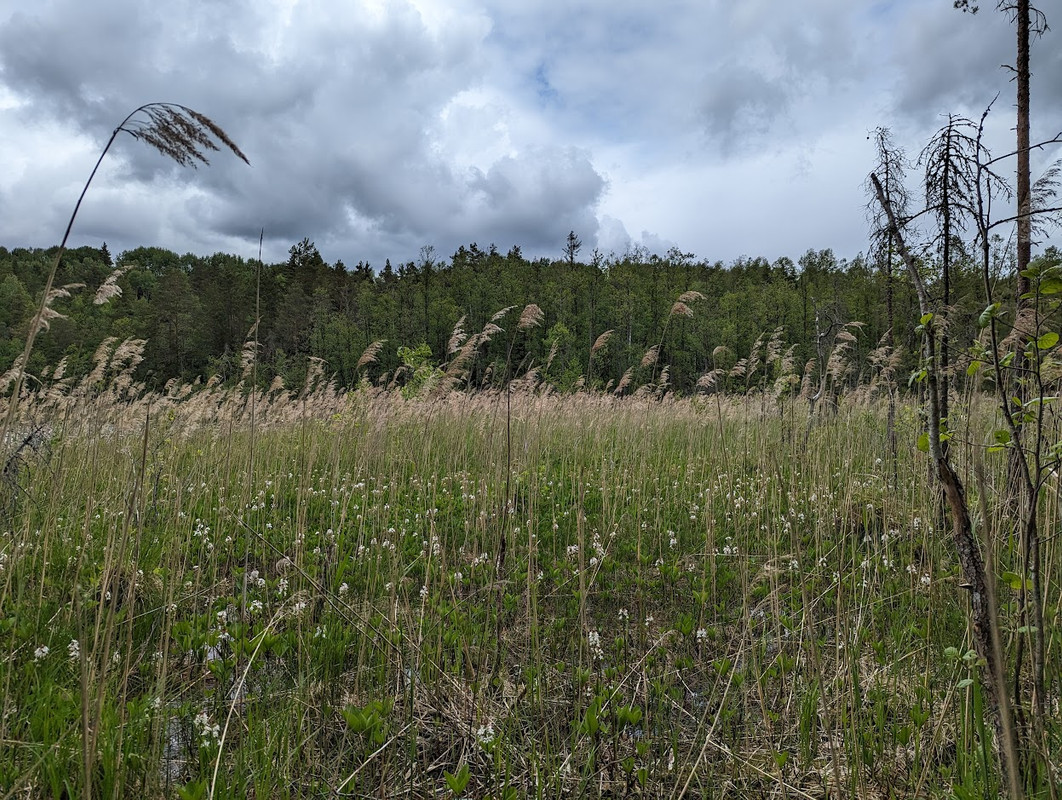 PXL_20230603_103102197