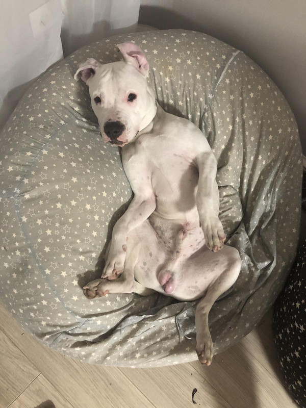 008EDC44-7998-4BEE-B058-7FB009161109