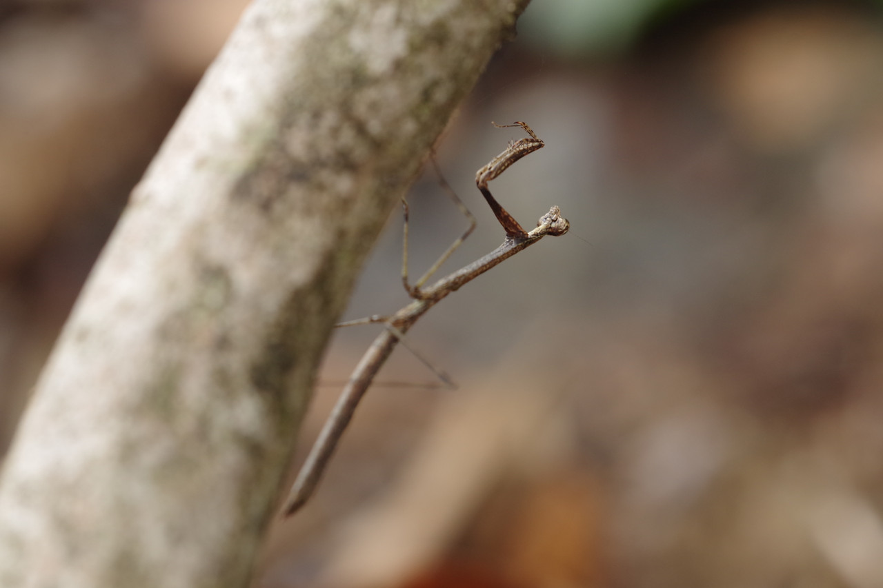 Fieldwork photo 3