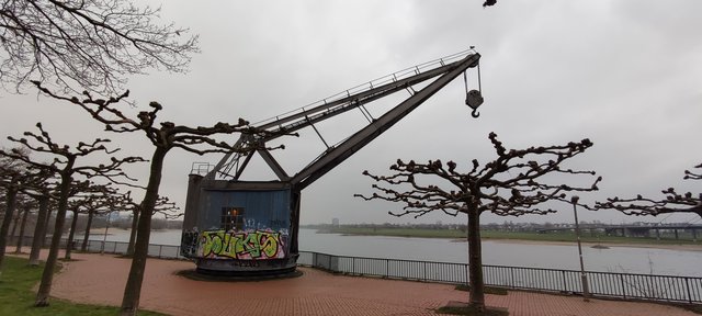 Dusseldorf, Frankfurt, Colonia (23-26 Febrero) - Blogs de Alemania - Llego a Düsseldorf (16)