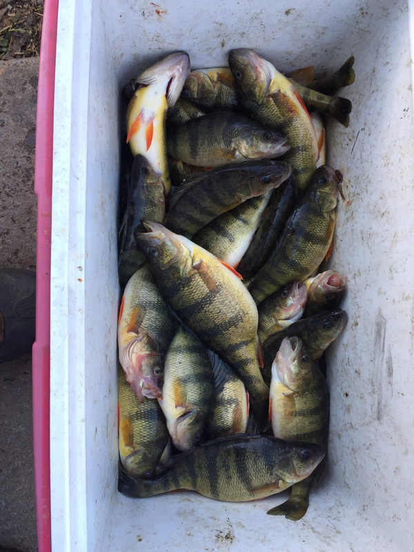 358429F0-B302-4758-8CB7-00AF6211E3C0