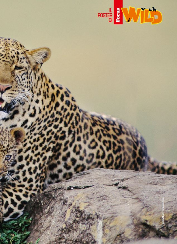 Foc Wil - Apr 2023 (8)