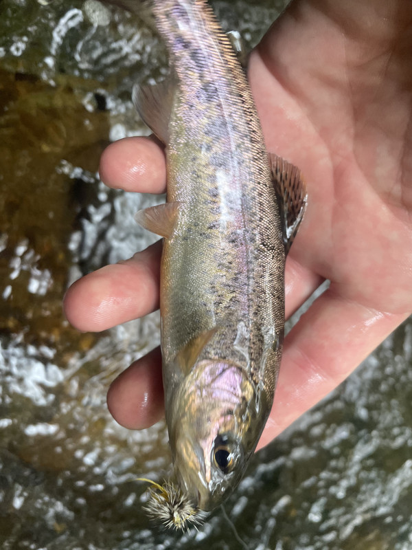 9178742F-E3E4-40C5-8608-D72E95B502C7