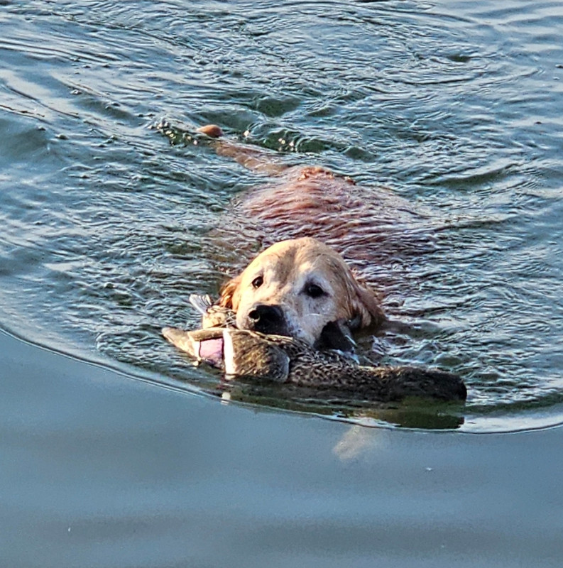 Screenshot 20260122 212003 Gallery