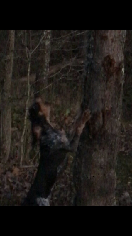 594FF5A4-A0D1-4AD8-8421-A5F38ECE3B80