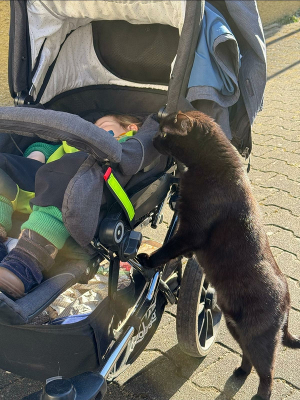 Screenshot 20251219 173702 Whats App