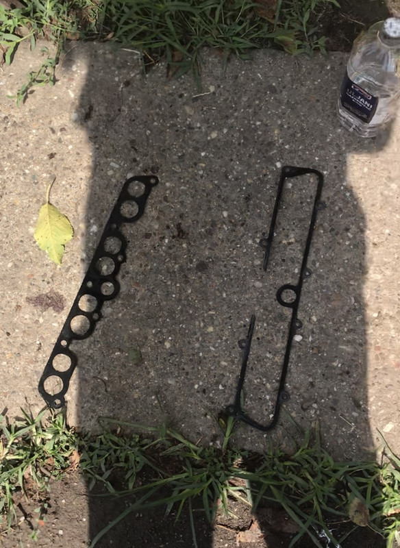 25468BD1-E7E6-4AC4-BD6E-E69E90448DA8