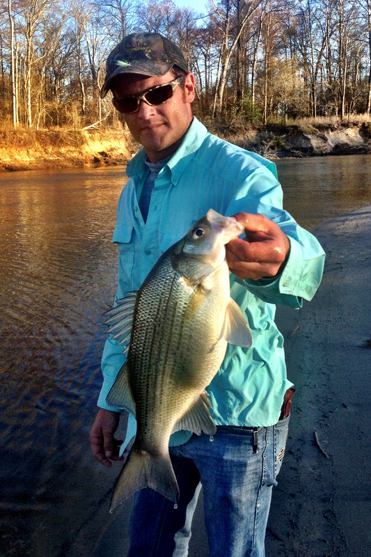 AF1A3B0F-3EB0-4074-8B0F-70942ED328E3