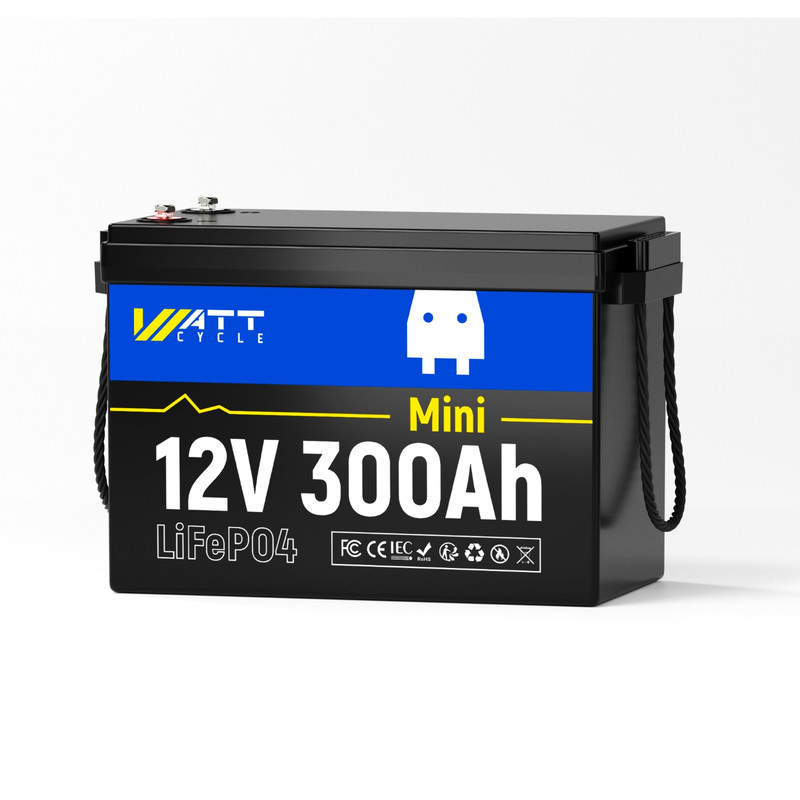 WT12V300AH200MINI