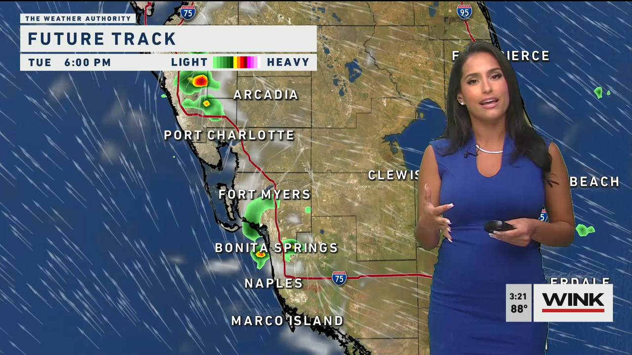 05.24 - 20.00.00 - WINK News at 3 00 p.m..ts_snapshot_25.47.048