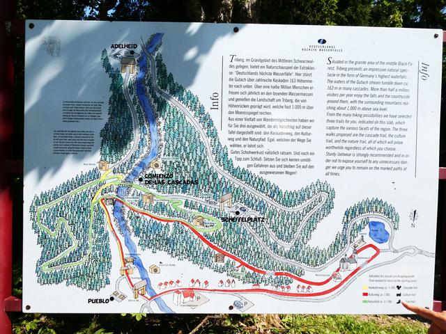 ALSACIA, LAGO CONSTANZA Y SELVA NEGRA - Agosto 2017 - Blogs de Europa Central - Día 9- Rodelbahn de Gutach, Triberg y Lago Titisee (5)