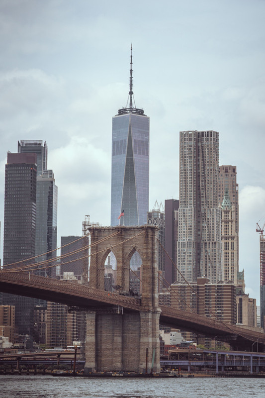 Downtown Manhattan vertical city view
