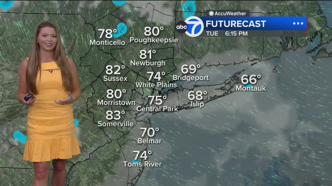 Eyewitness News Mornings at 10_20240603_15001600.ts_snapshot_00.17.53.448
