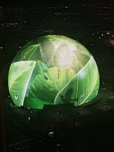 [Image: IMG-5040.jpg]