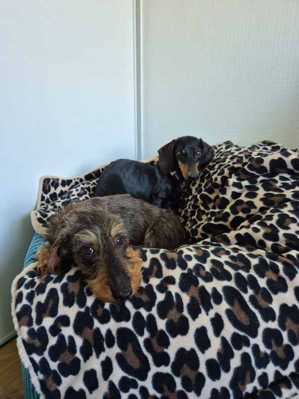 [Image: IMG-20250505-WA0002.jpg]