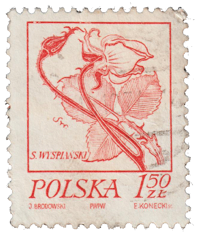 Stamp 7