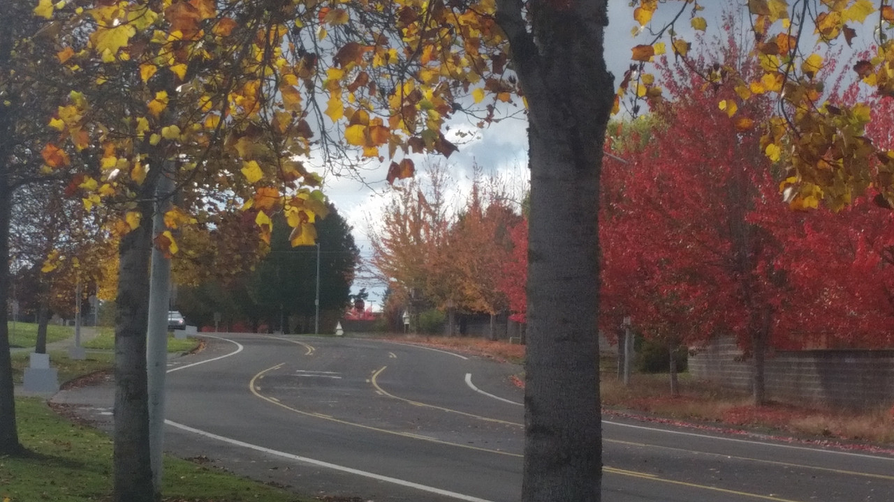 [Image: 20181102-112404.jpg]