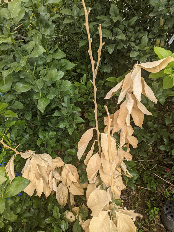 PXL_20220318_131445175