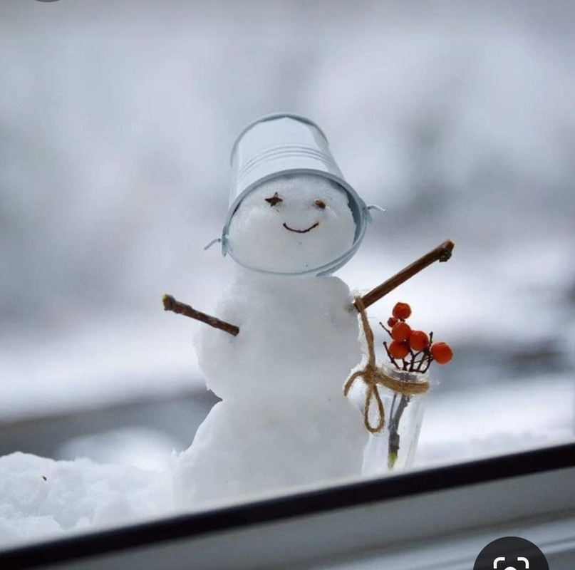 Screenshot_20231211_180848_Pinterest