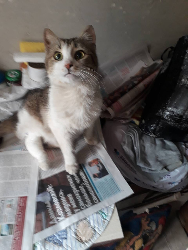 18920F87-5136-402A-BAC4-FF68EC509F83