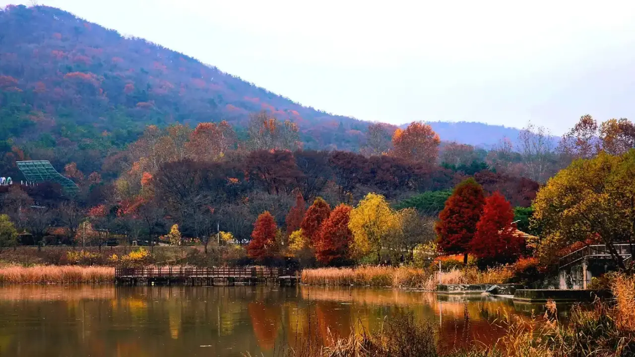 수목원 단풍 풍경