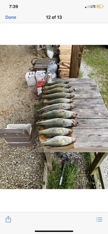 9816C69D-C5DE-46A6-86B0-155080EC5940