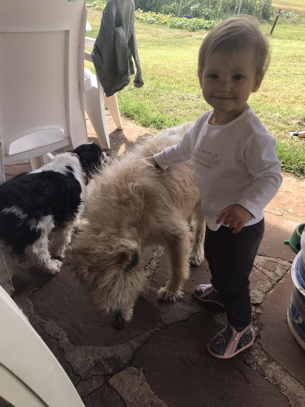 6B8B5FA2-6D1D-4C6B-8AAE-2A56929D78D3