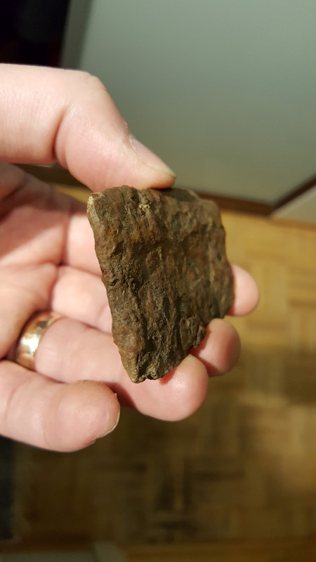 20171007_172126 (Medium)