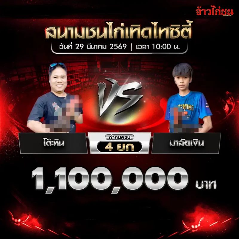 โต๊ะหิน พบ มาลัยเงิน โปรแกรมไก่ชน สนามชนไก่เทิดไทซิตี้ 29 มีนาคม 2569