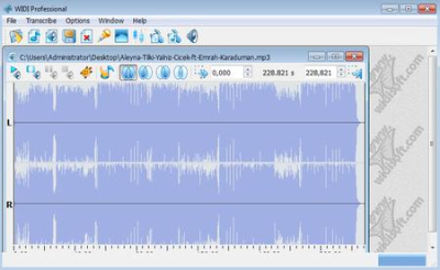 bfa28c73 1466 49a4 99ca 86f8259924e0 - WIDI Recognition System Professional 4.5.0 Build 677