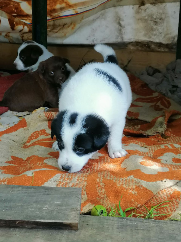 IMG-055952b0bfa1ea60d1a95b4c68e4e2c0-V