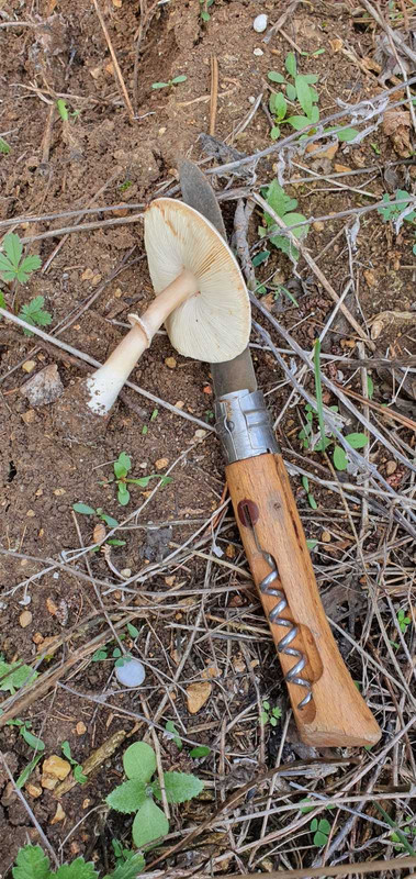 изображение_viber_2020-11-16_11-24-45