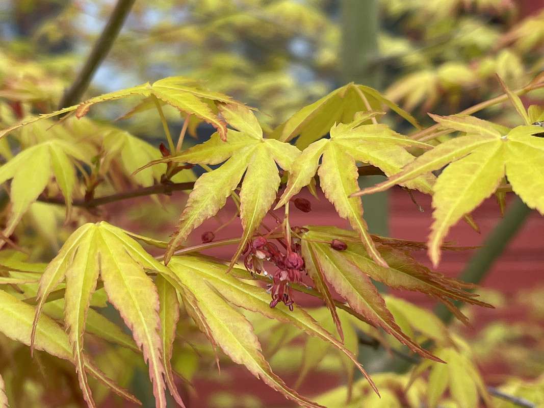 1C728EA3-BCC7-41B8-B734-58FB3A28A7E4